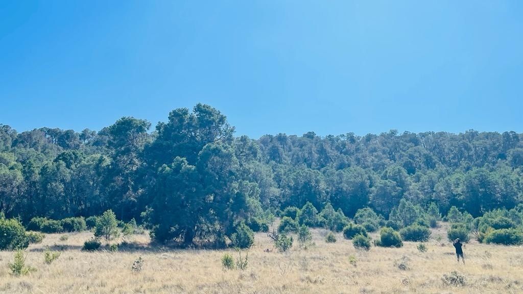 https://assets.easybroker.com/property_images/3006830/47906709/EB-KN6830.jpeg?version=1654028559