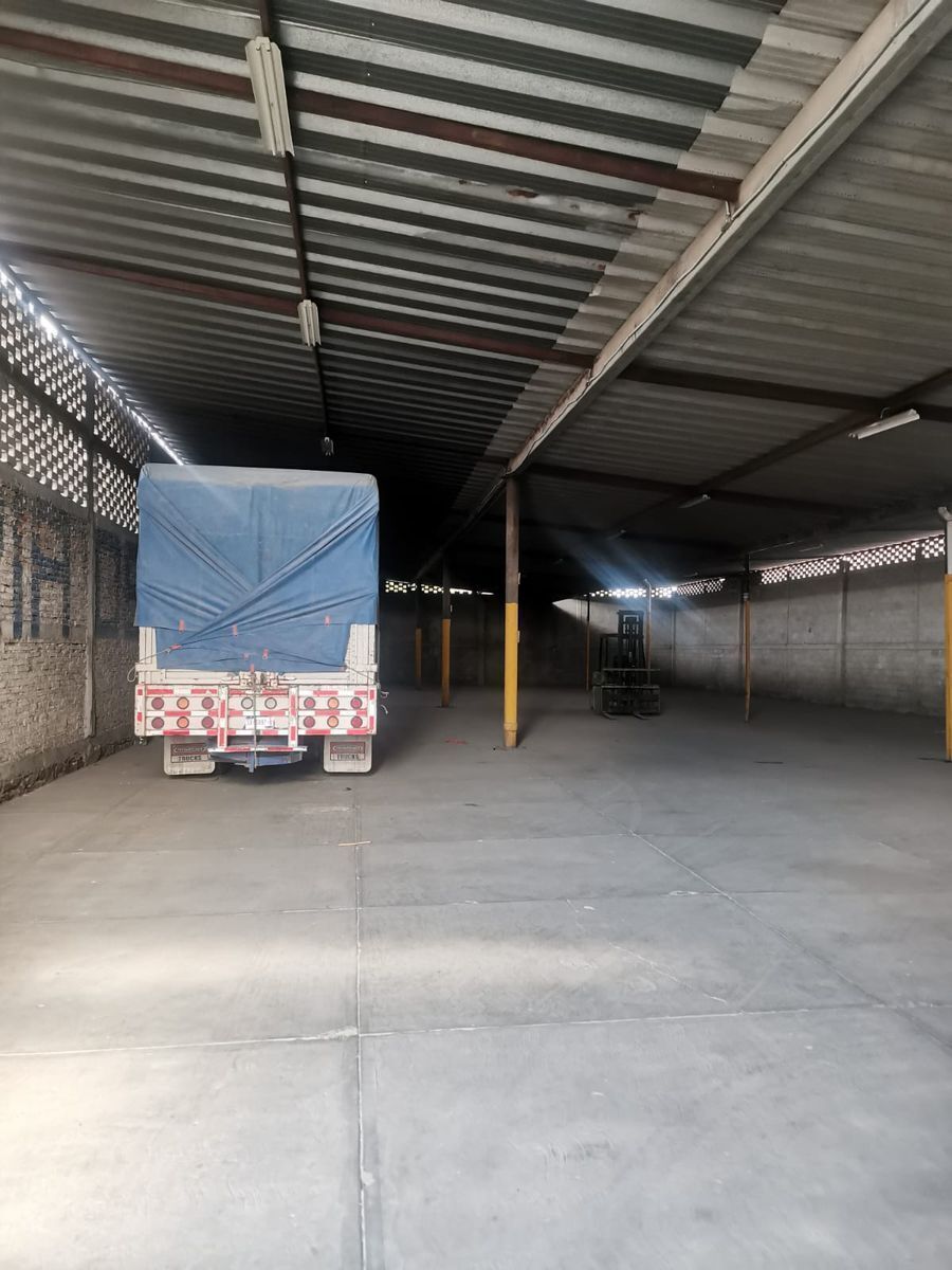 Imagen 3 de 7