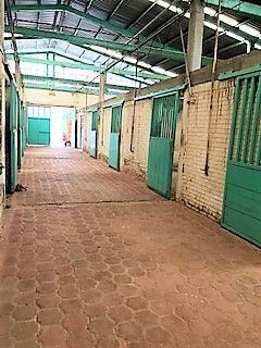 9 de 23: Caballerizas