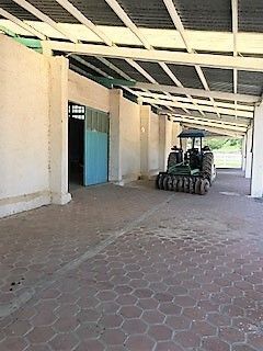 10 de 23: Entrada a las caballerizas