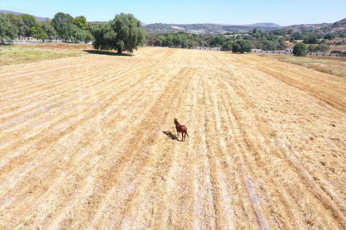 22 de 23: 5 HA para siembra de maiz