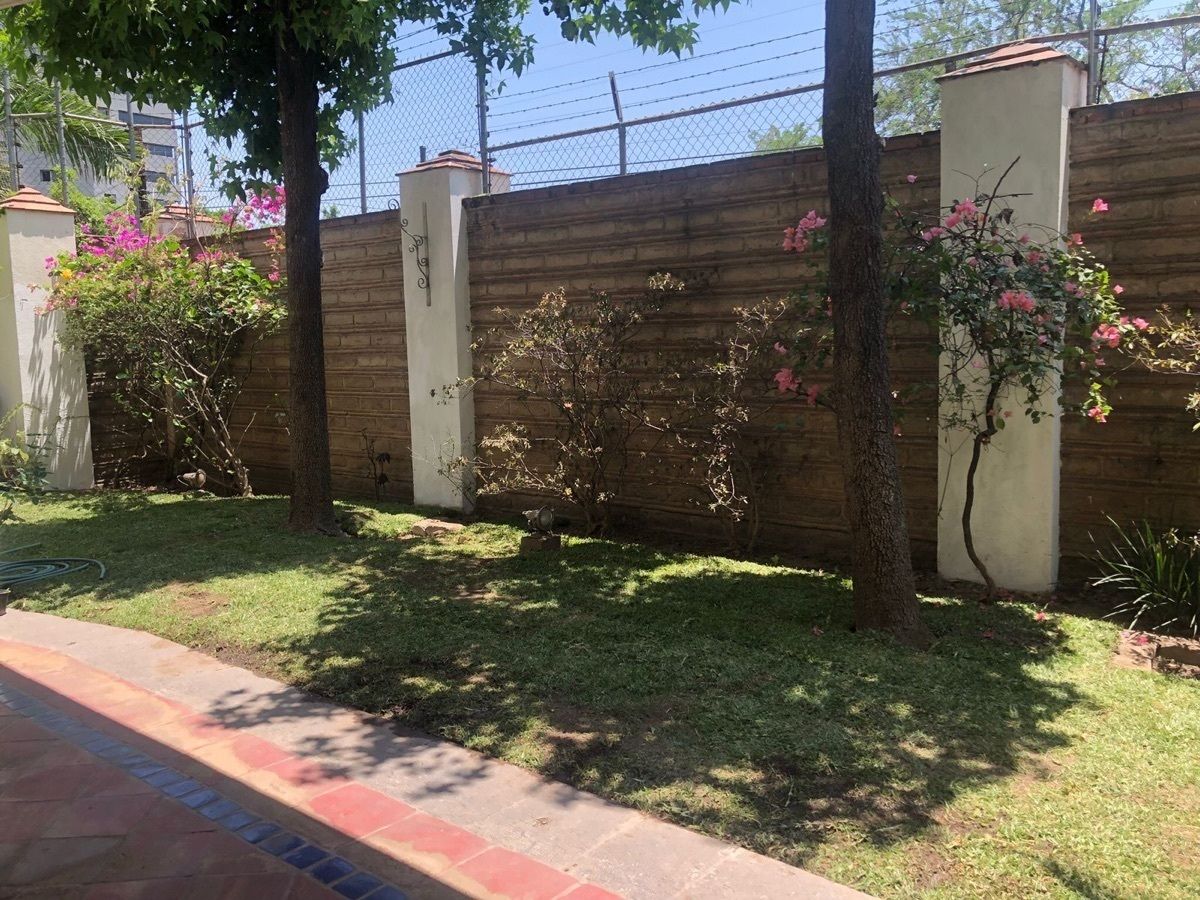 10 of 26: Patio y jardín