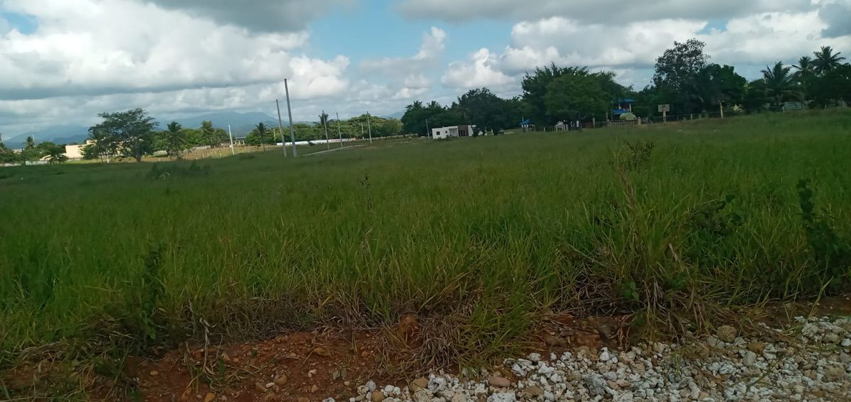 1 de 3