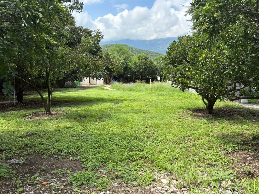 5 de 7