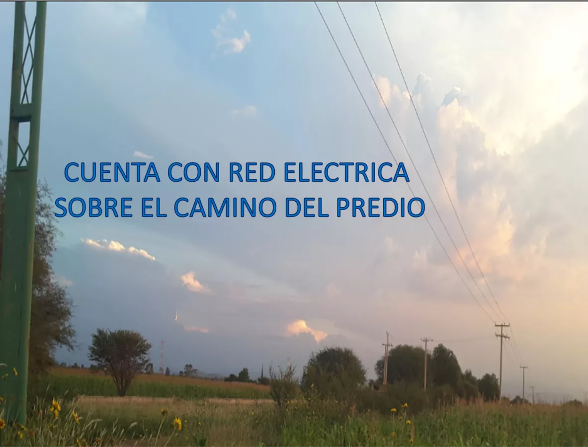 Imagen 5 de 10
