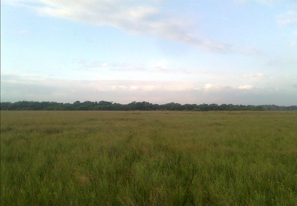 VENTA DE TERRENO EN TUXPAN VERACRUZ - foto 2