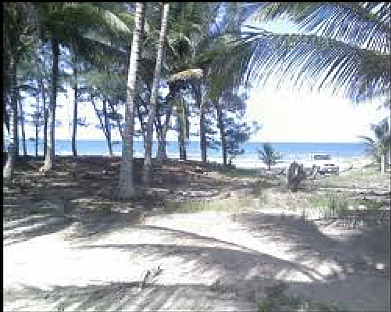 VENTA DE TERRENO EN TUXPAN VERACRUZ - foto 5