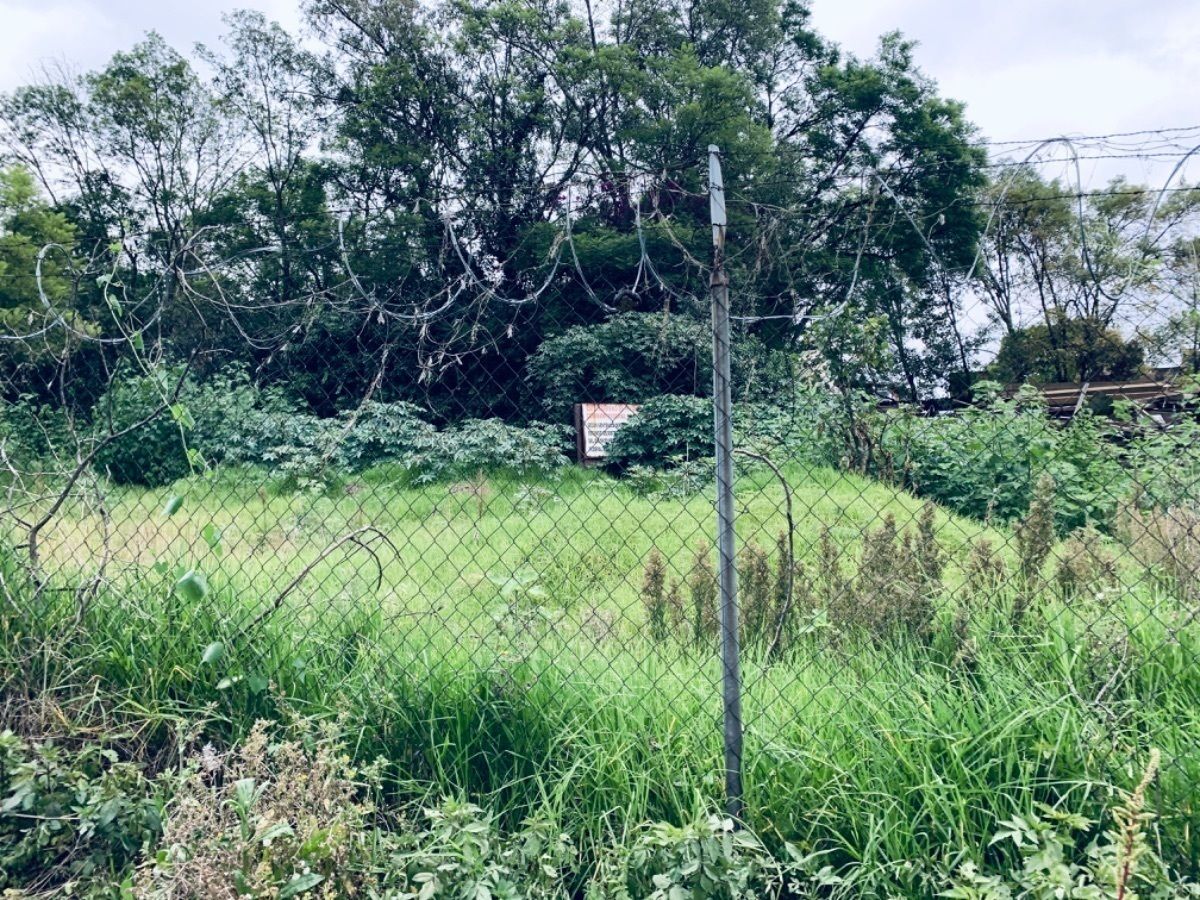 Terreno comercial en Olivar de los Padres, Álvaro Obregón, foto 4 de 5