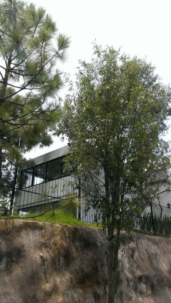 Imagen 6 de 9