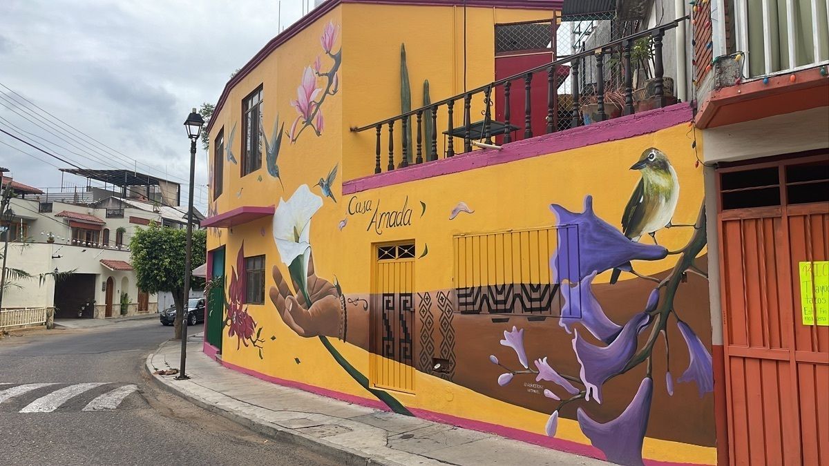2 de 48