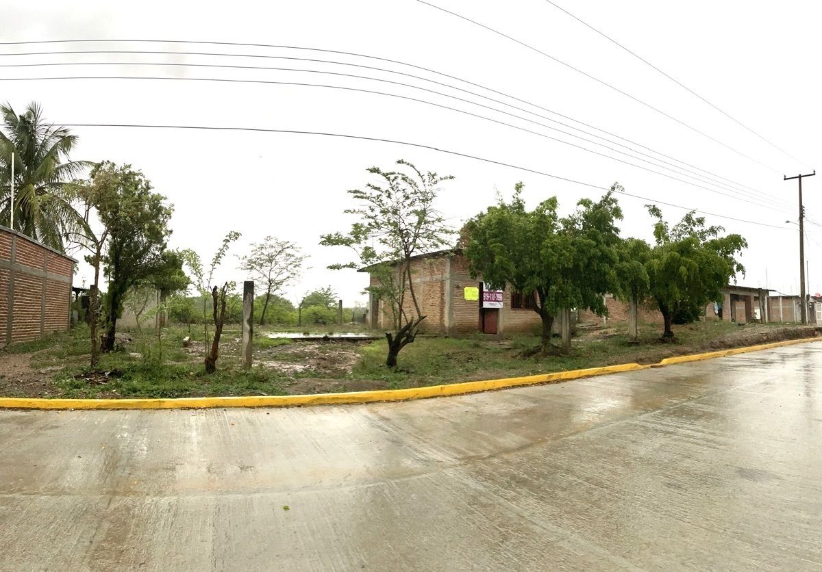 4 de 12
