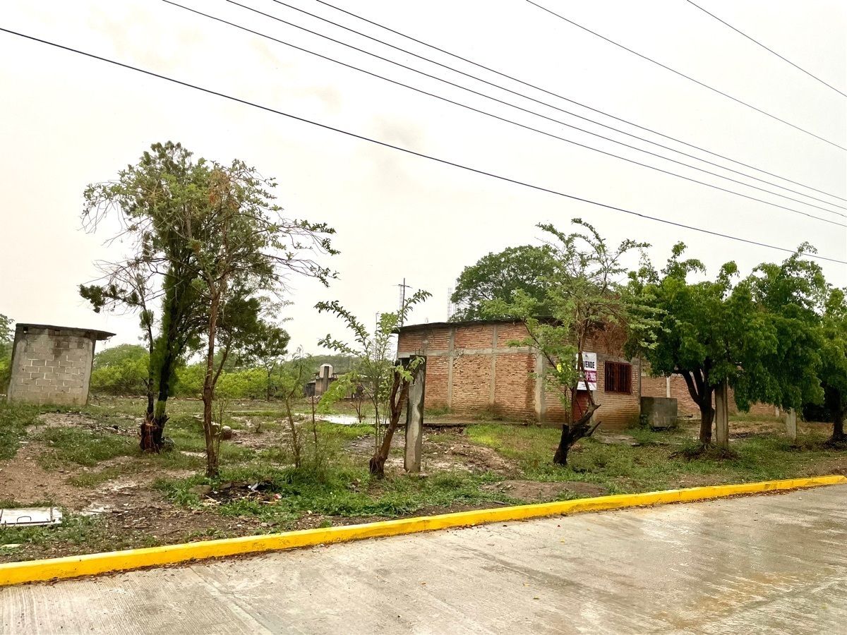 5 de 12