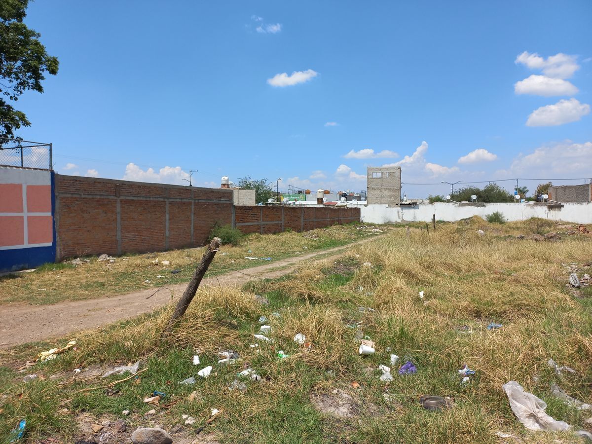 9 de 11