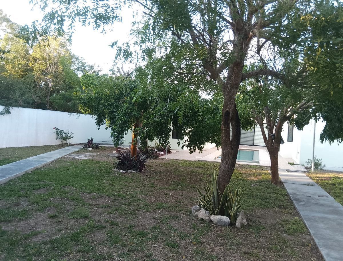 Jardín, foto 28 de 42