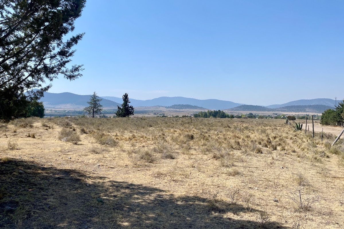 Terreno campestre en VENTA en San Antonio de las Alazanas