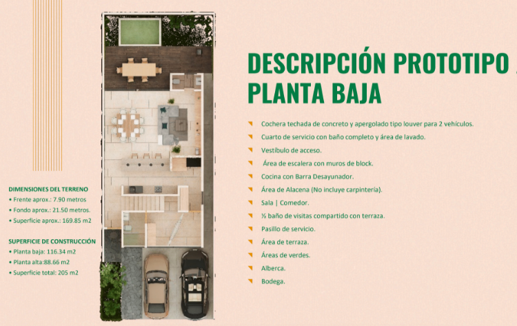 15 de 19: Tipología Planta Baja