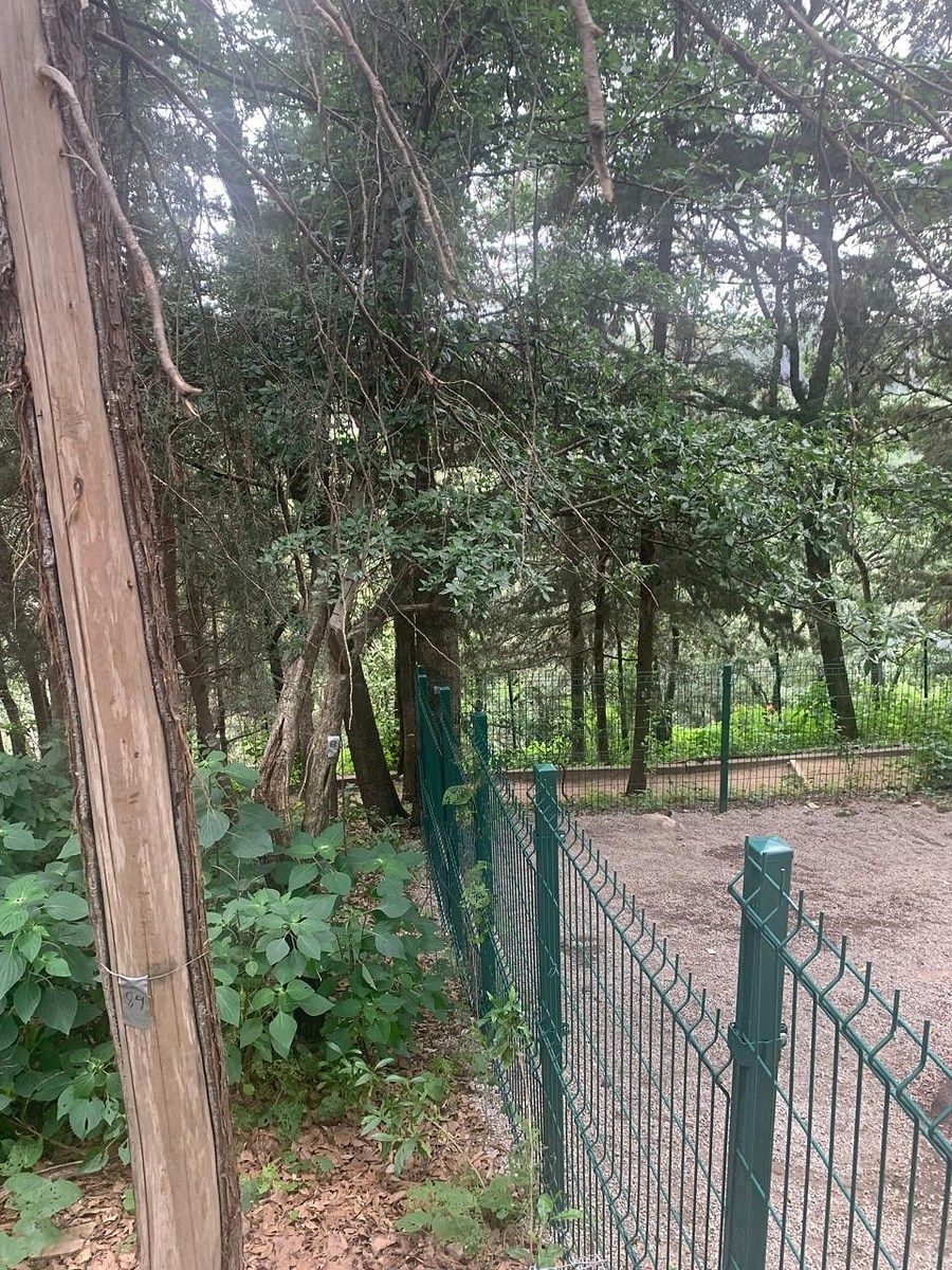 Apartamento em Santa Fe, Álvaro Obregón, foto 20 de 50