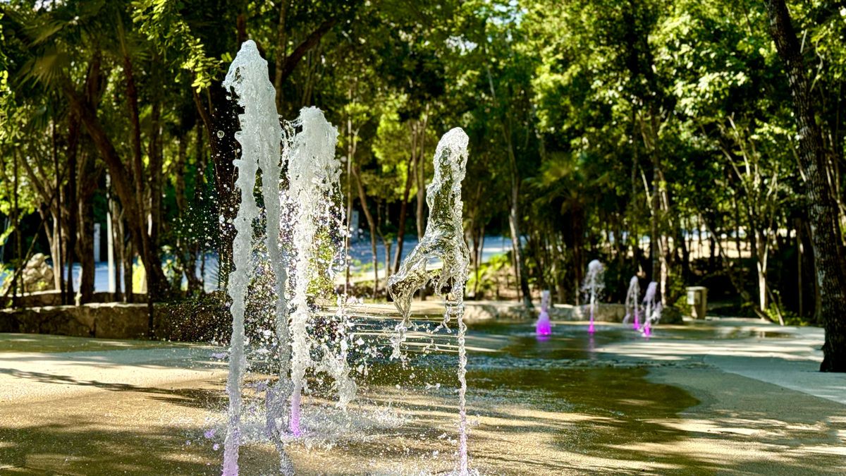39 de 44: Central park fountain garden