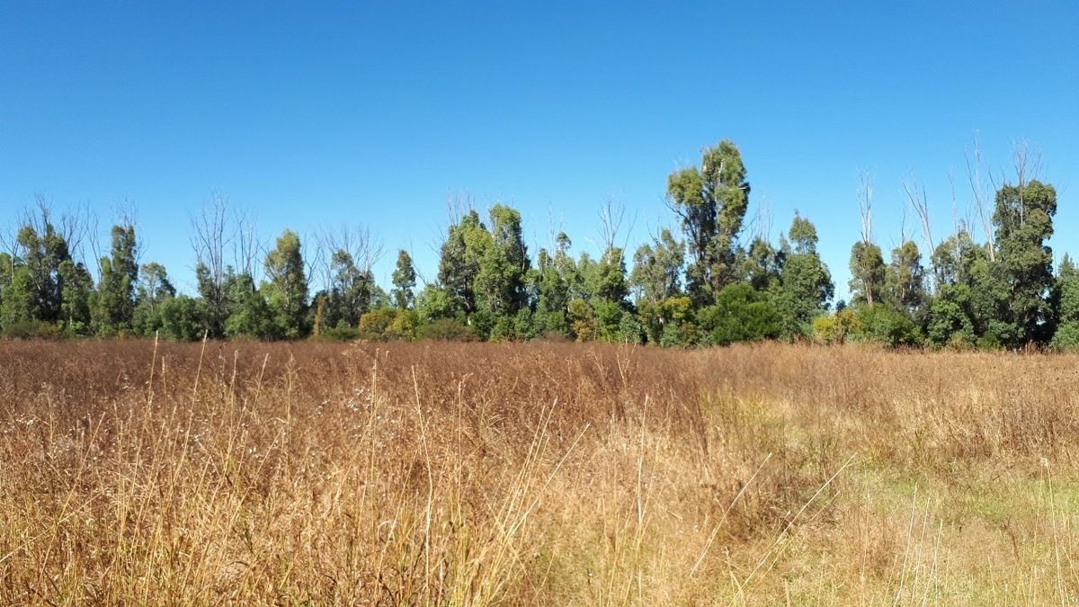 Se Vende Terreno en Nicolás Bravo, Canatlan