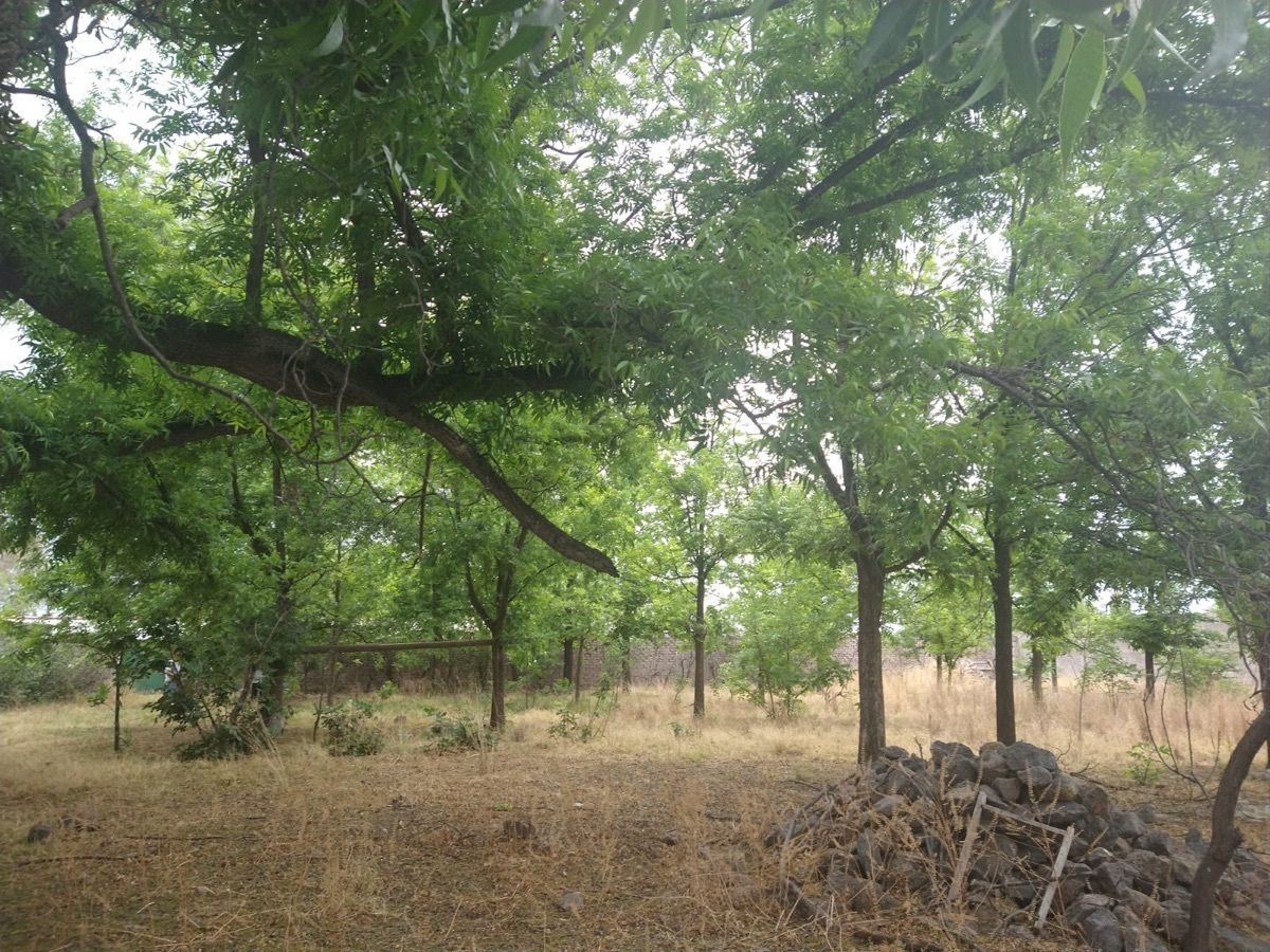 Se Vende Terreno en Colonia Hidalgo
