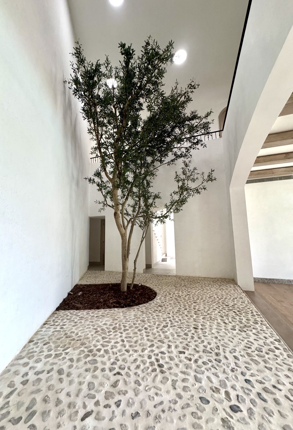 2 of 42: Árbol en el Interior que da vista y elegancia a Sala Comedor