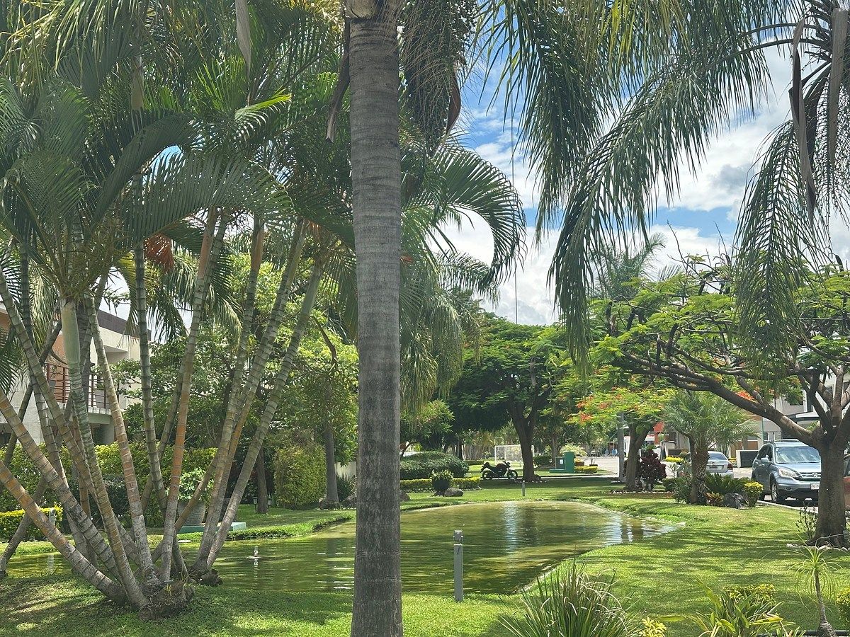 Casa em José G Parres, Jiutepec, foto 31 de 35