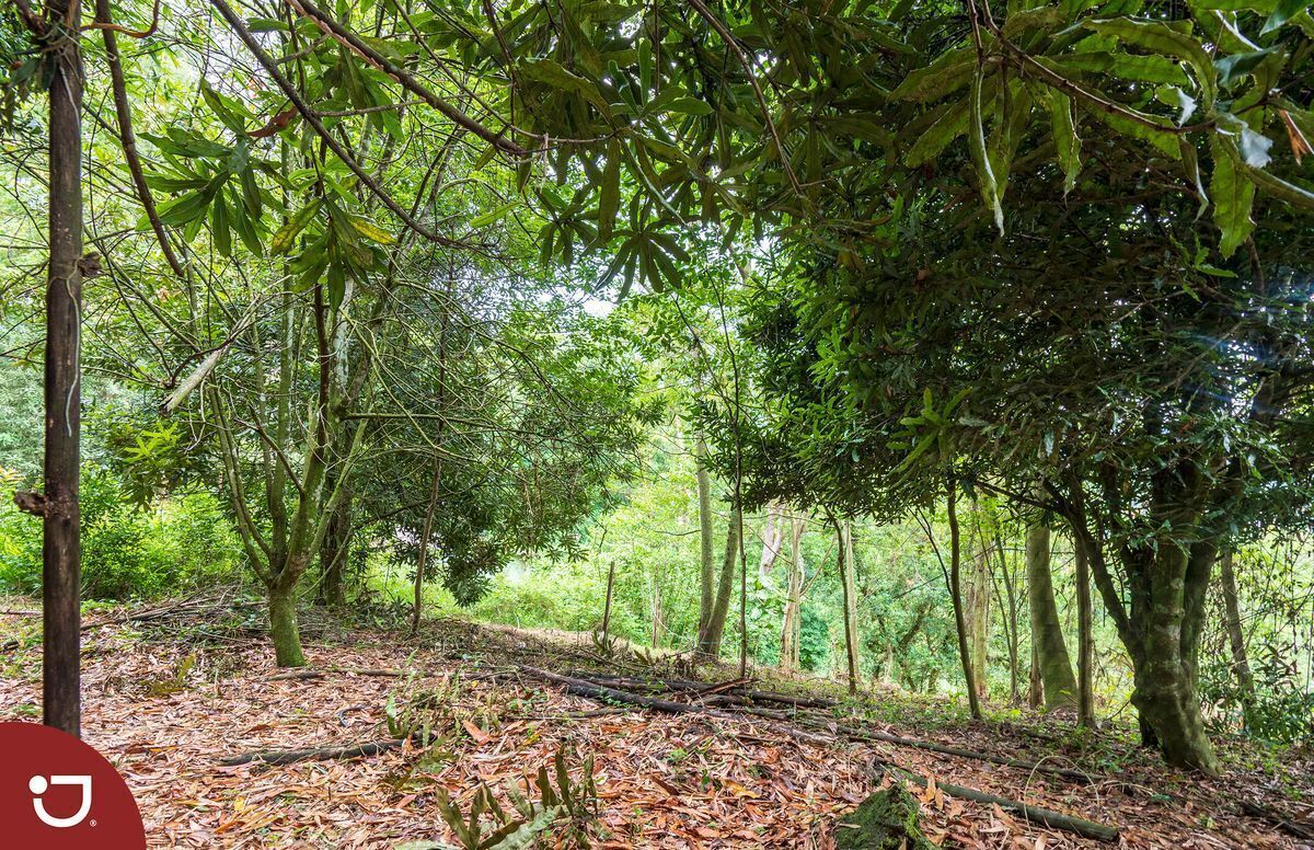 Terreno campestre en venta Xalapa, camino a San Antonio.