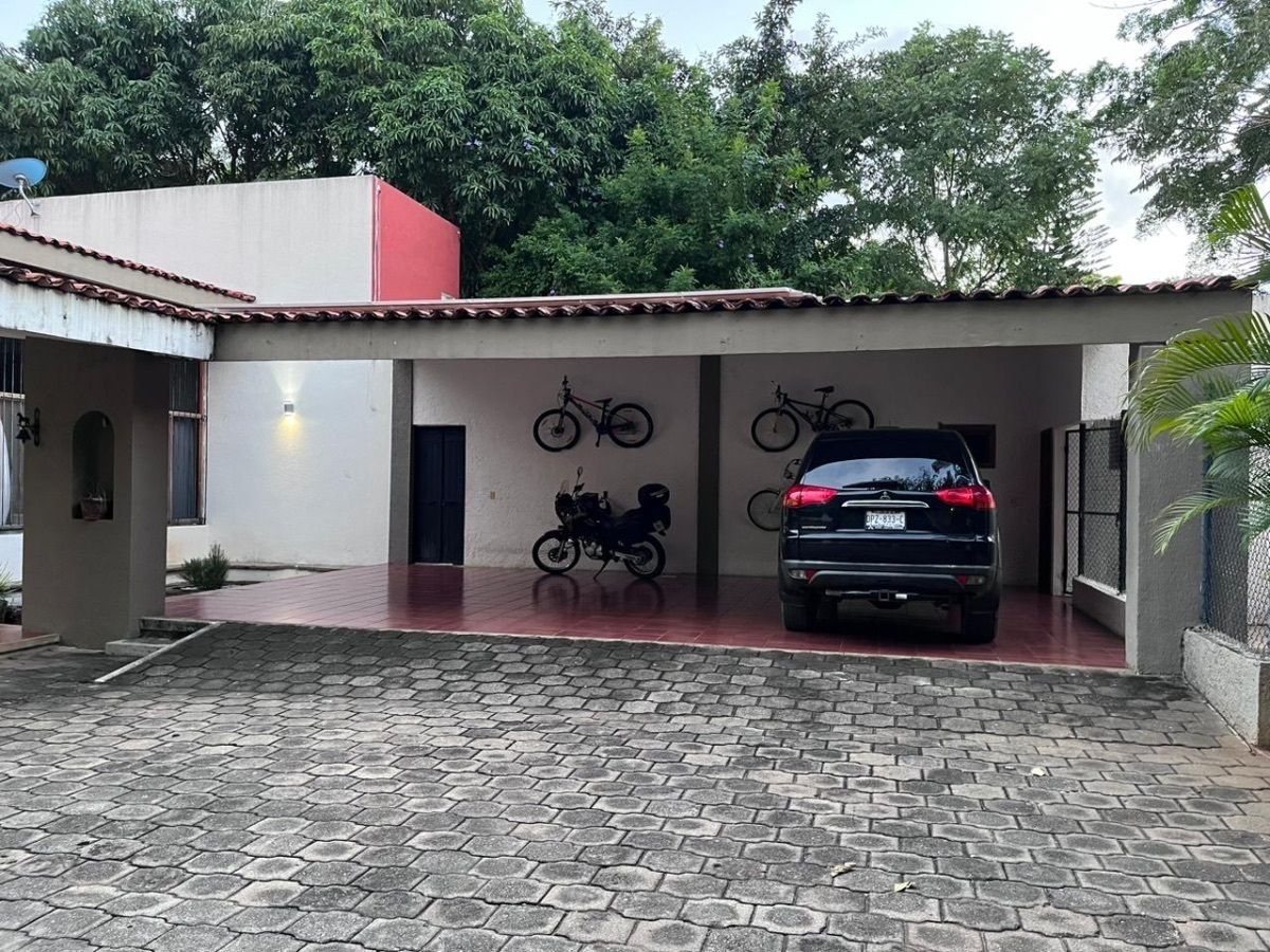 6 de 19