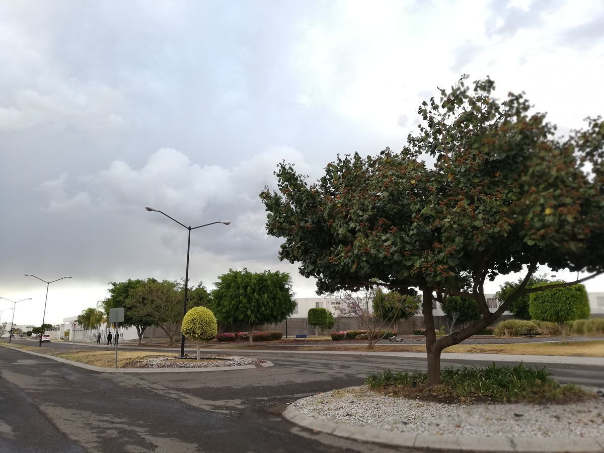 3 de 14