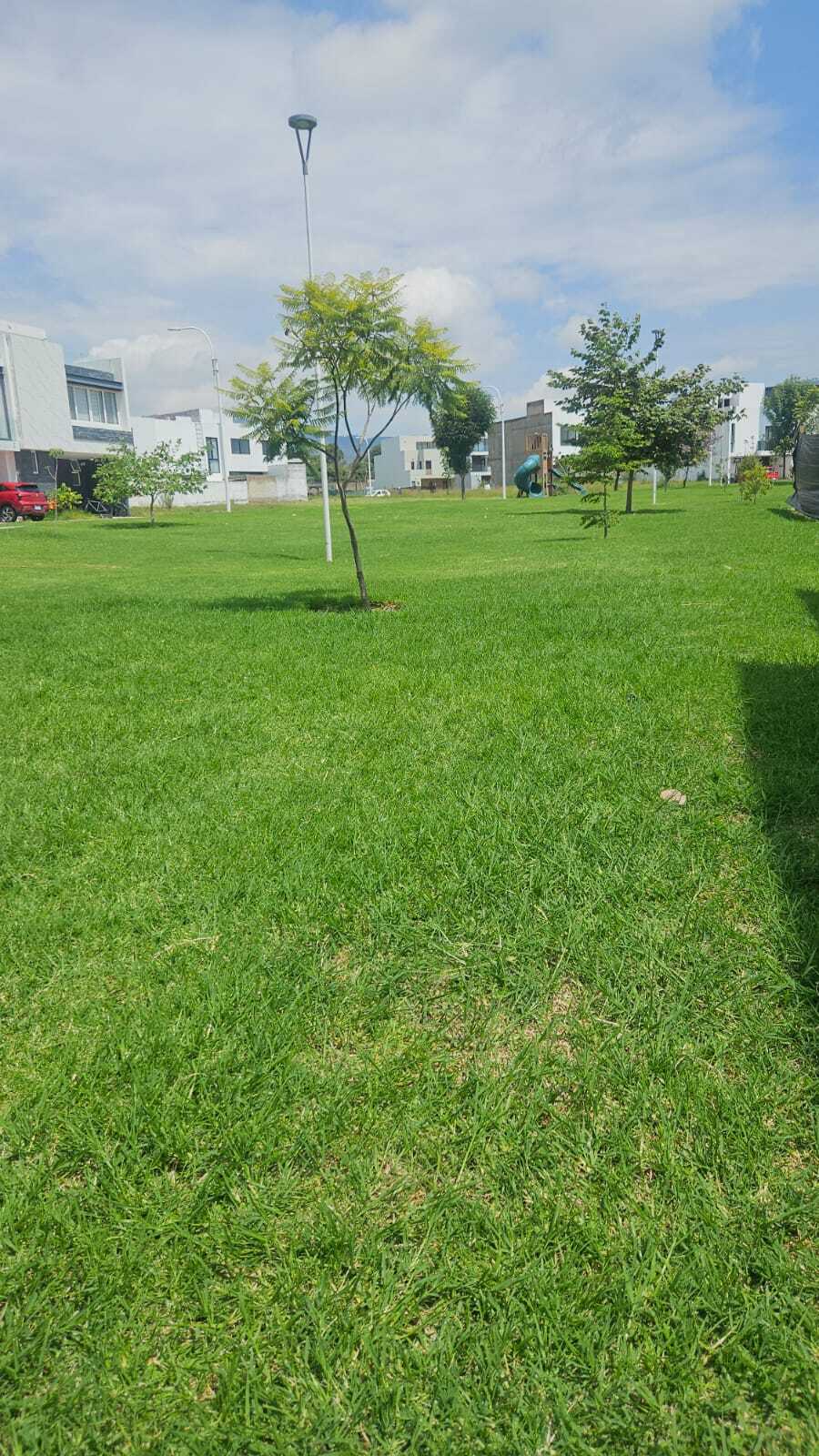 11 de 13