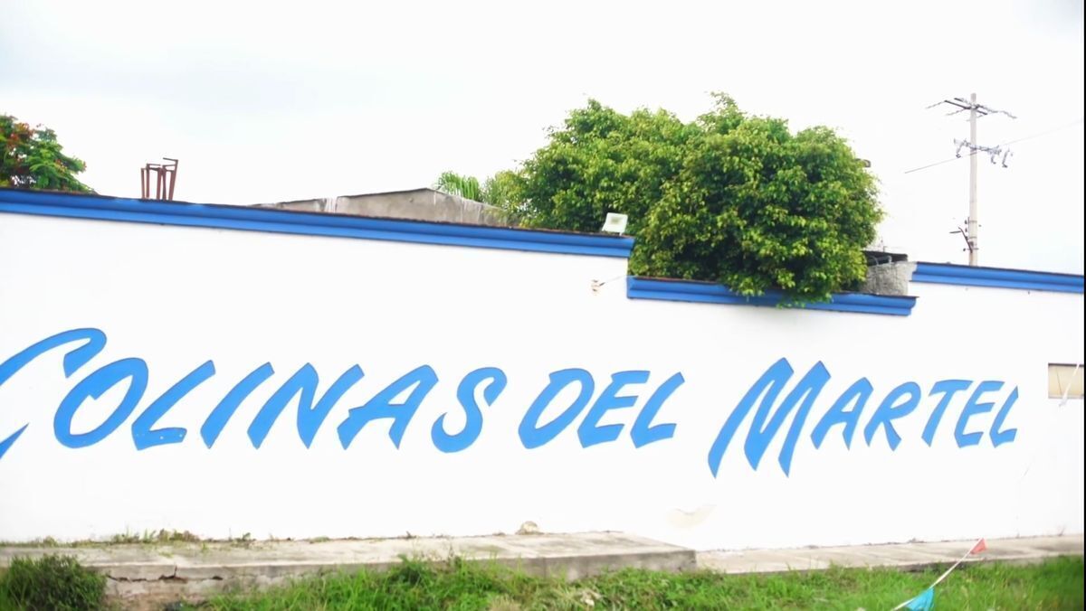 2 de 20