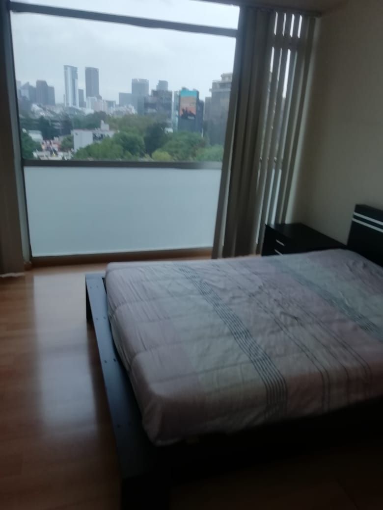 6 de 24
