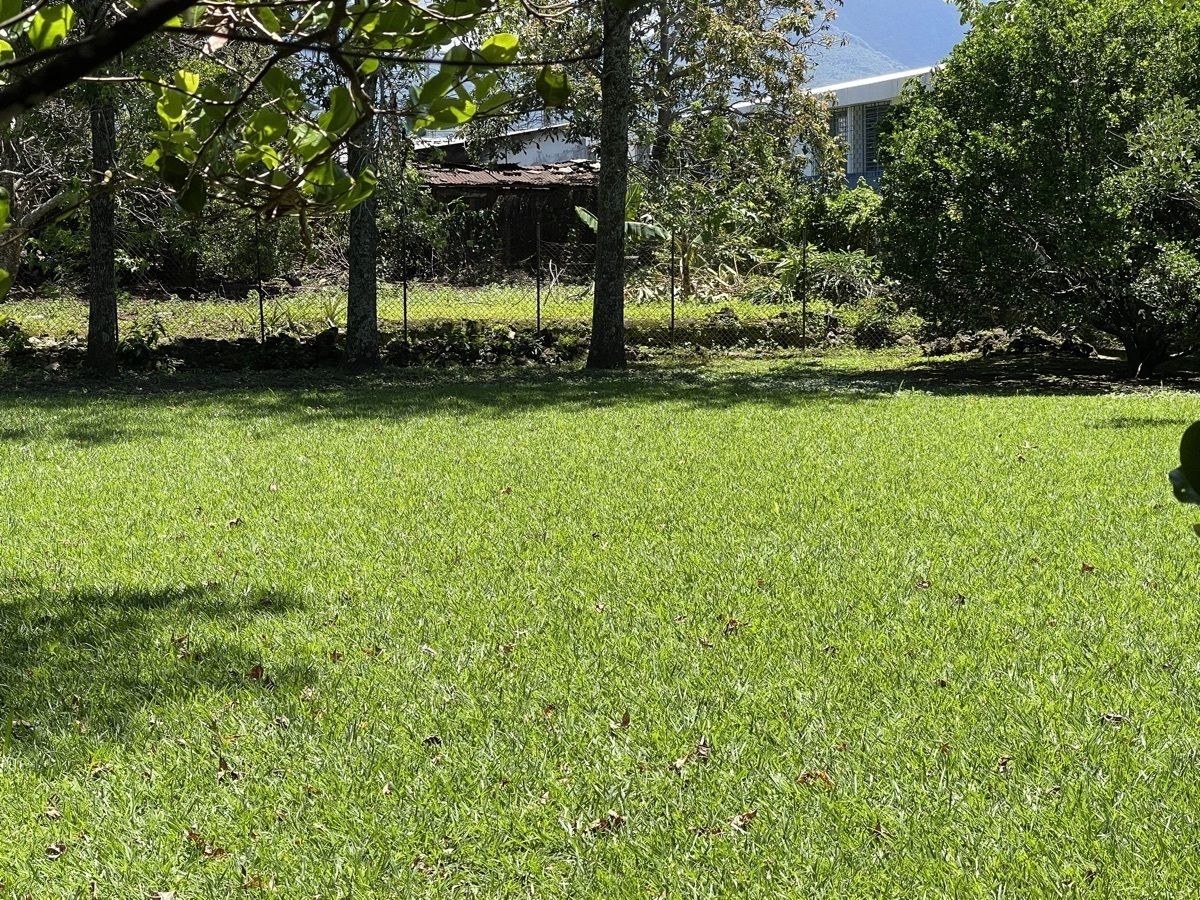 5 de 35
