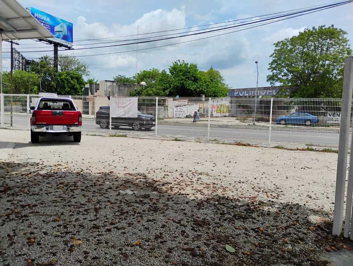 11 de 11