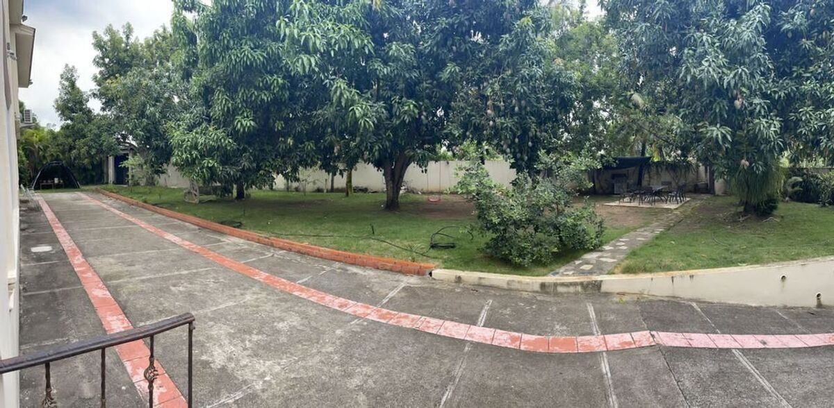 17 de 19