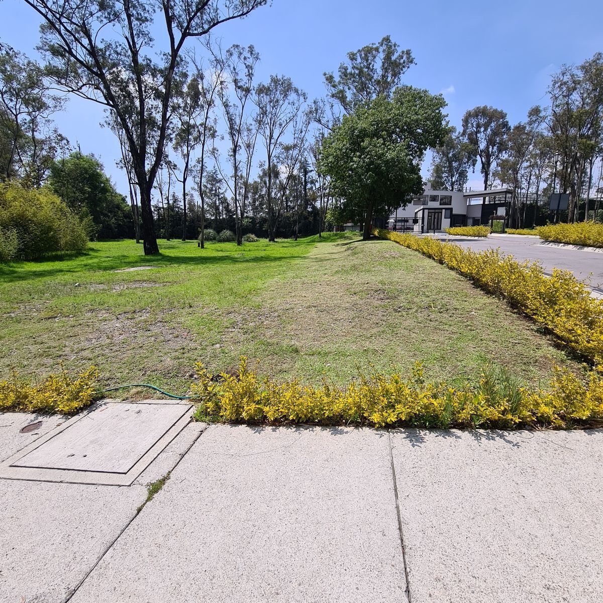 Venta terreno en Lomas de Vista Hermosa - foto 4