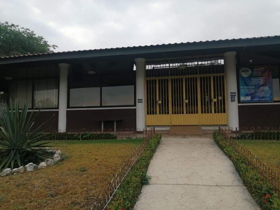 1 de 19