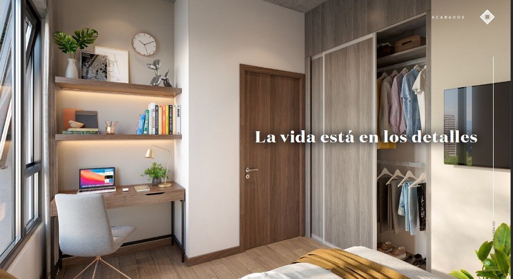 7 de 19