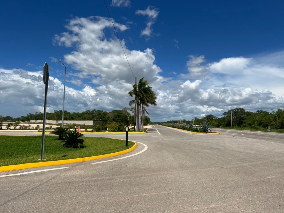 5 de 22