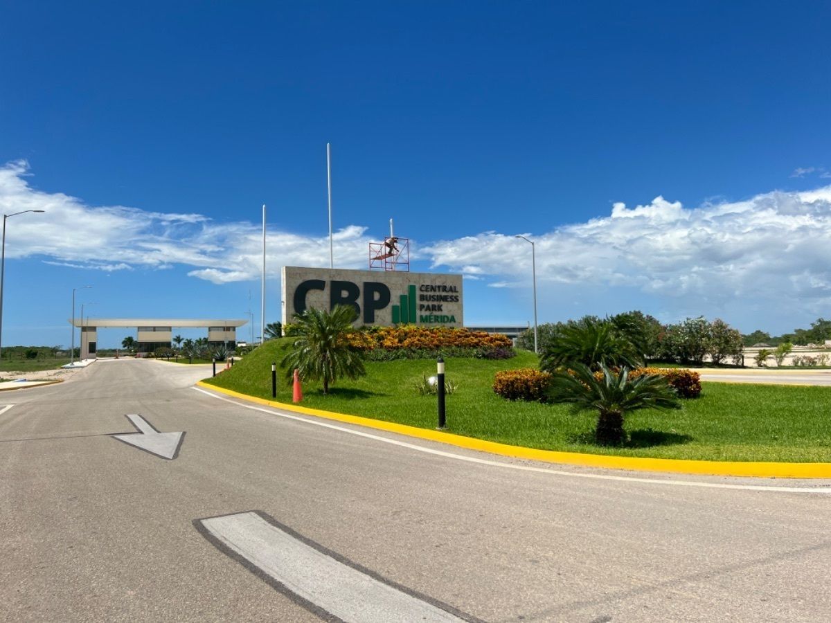 4 de 22