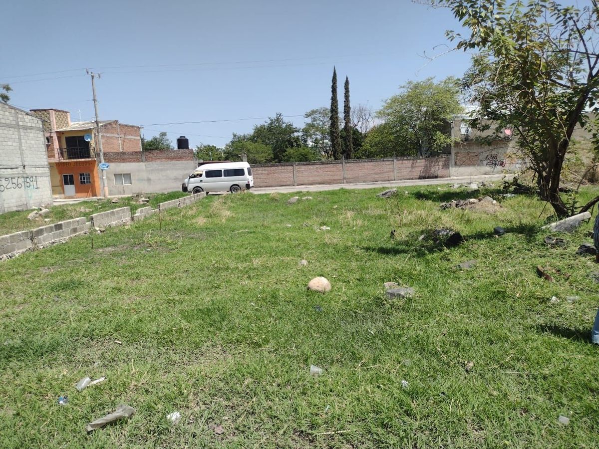6 de 12