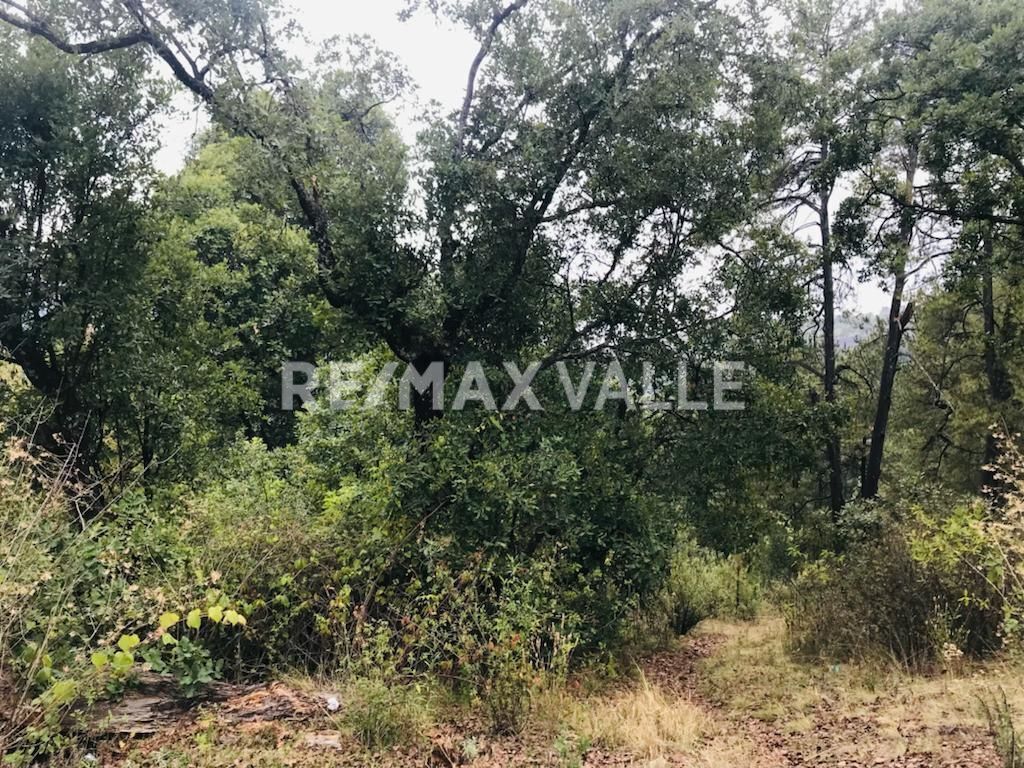 Terreno en Amanalco de Becerra, Amanalco, foto 16 de 34