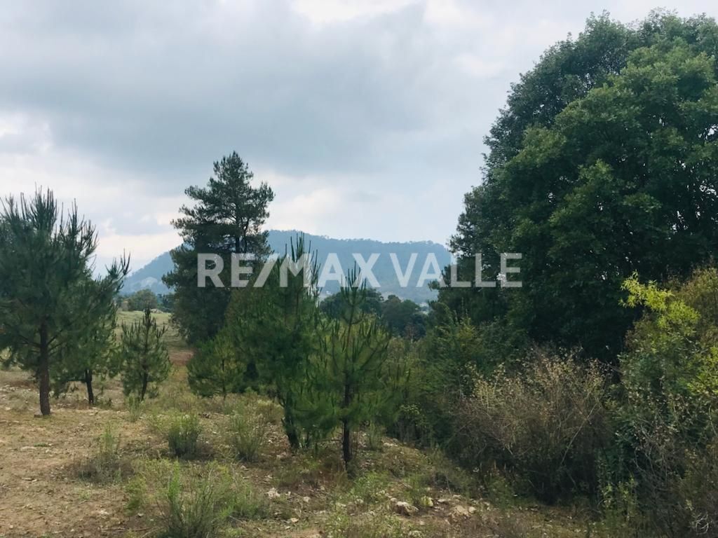 Terreno en Amanalco de Becerra, Amanalco, foto 5 de 34