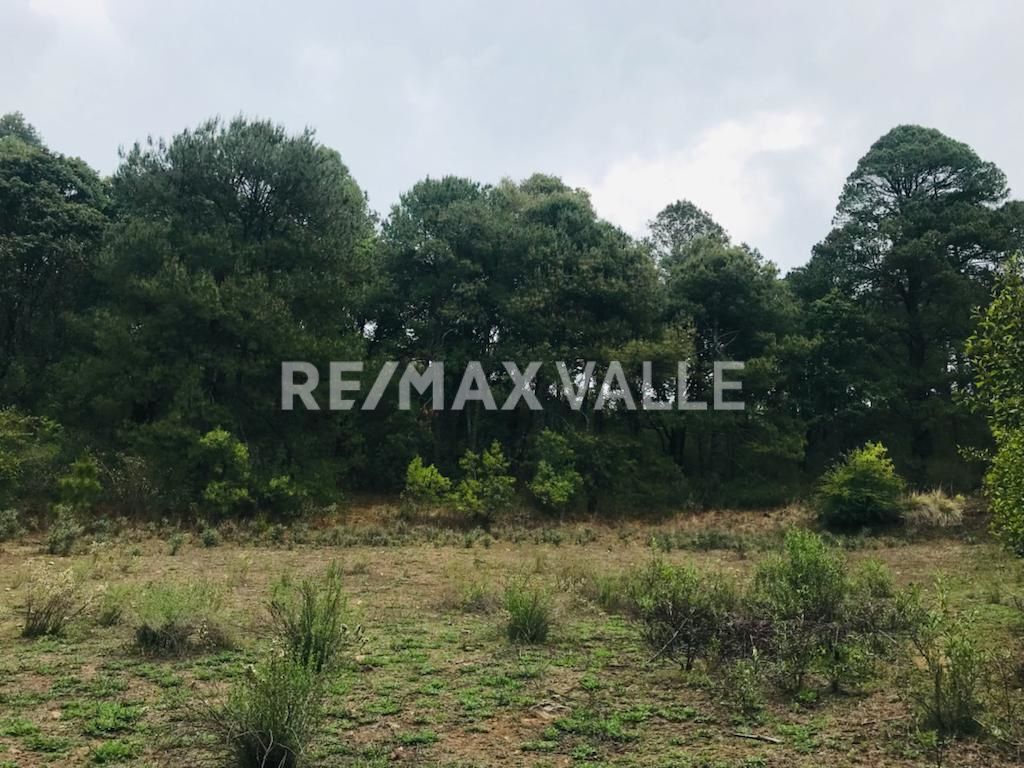 Terreno en Amanalco de Becerra, Amanalco, foto 14 de 34