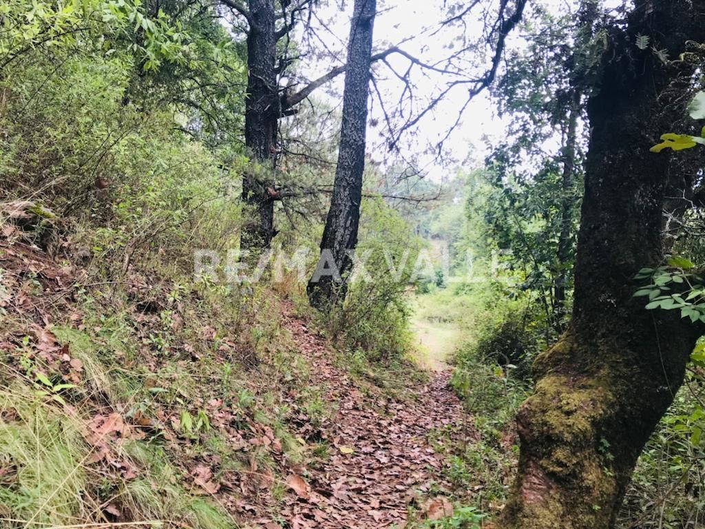 Terreno en Amanalco de Becerra, Amanalco, foto 15 de 34