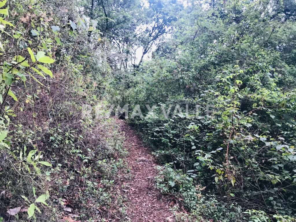 Terreno en Amanalco de Becerra, Amanalco, foto 11 de 34