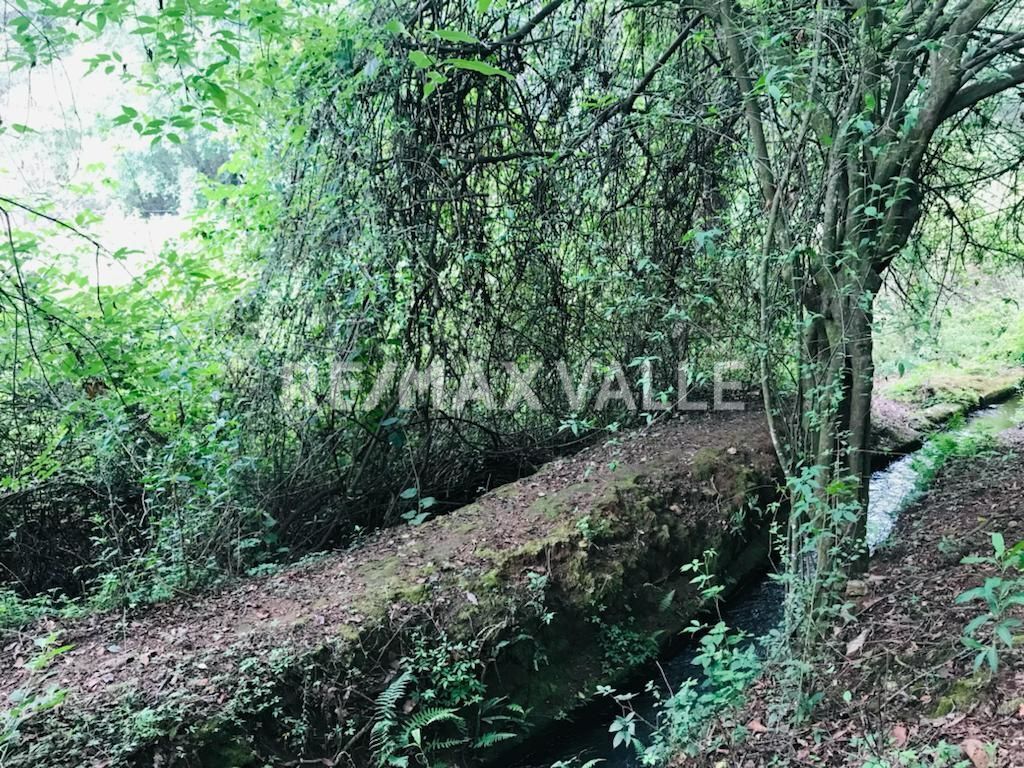 Terreno en Amanalco de Becerra, Amanalco, foto 10 de 34