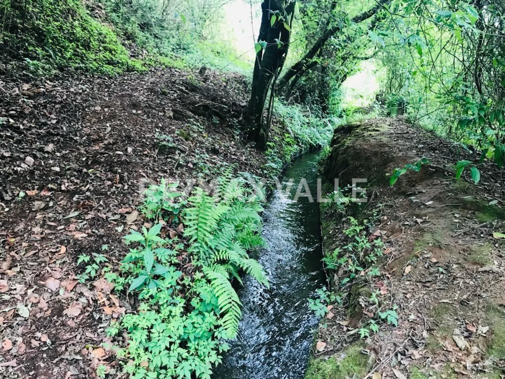 Terreno en Amanalco de Becerra, Amanalco, foto 19 de 34