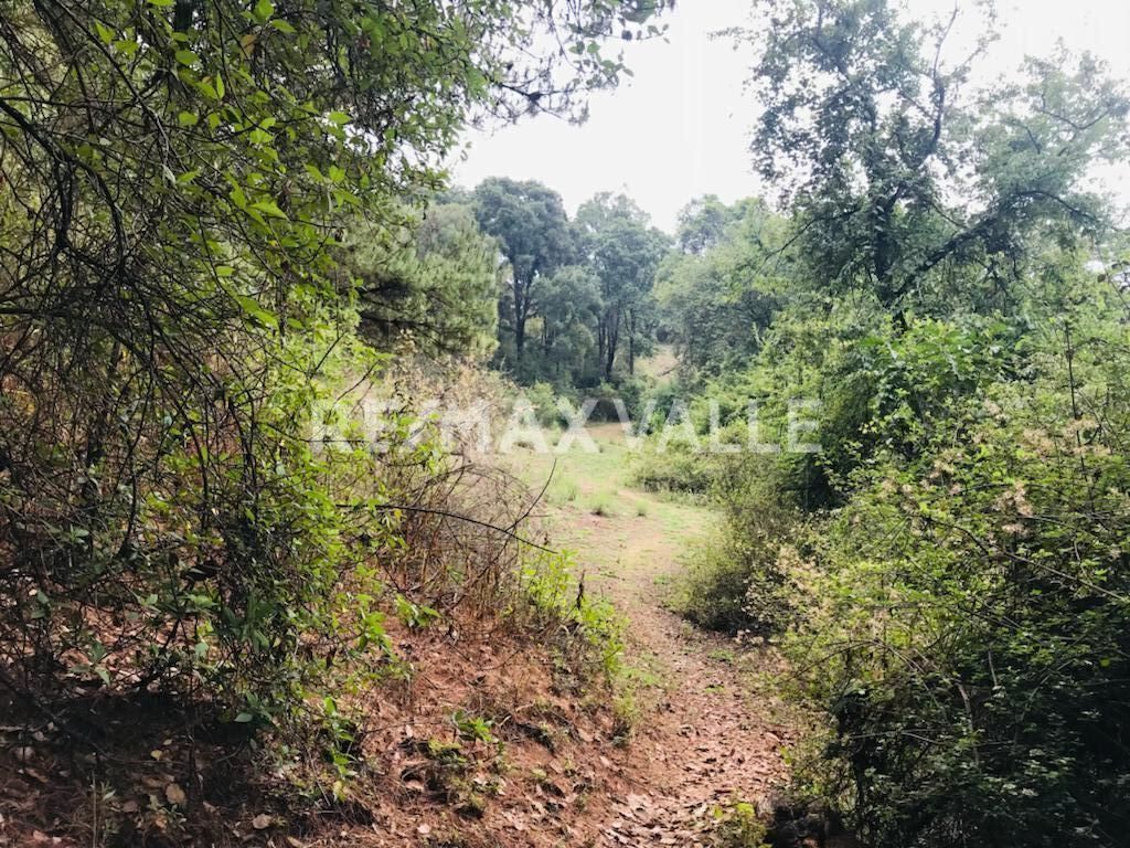 Terreno en Amanalco de Becerra, Amanalco, foto 20 de 34