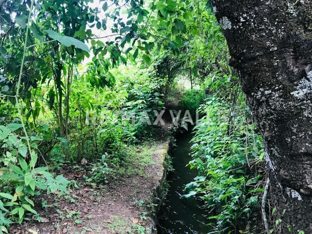 Terreno en Amanalco de Becerra, Amanalco, foto 21 de 34